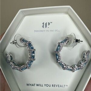 Stunning Silver and Blue Gemstone Earrings